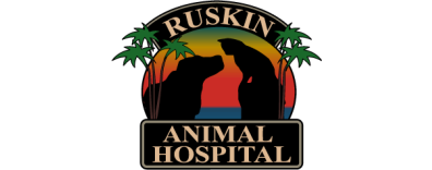 Ruskin Animal Hospital-FooterLogo